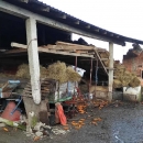Žurna isplata izravne potpore potresom i poplavom pogođenim područjima u iznosu 35 milijuna kuna 