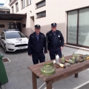 U Korenici jučer dragovoljno predano više od 600 komada raznog streljiva