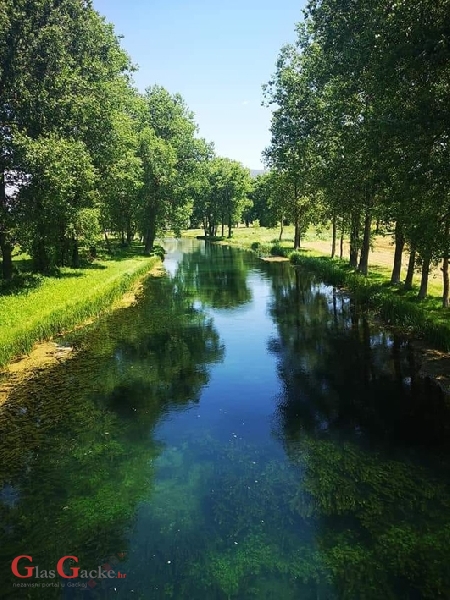 Jesmo li dosta spavali ljetni san?