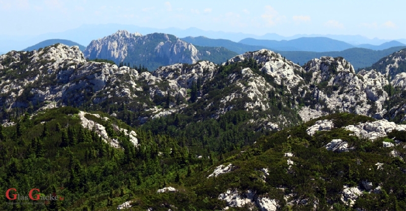 Javni natječaj za izbor ravnatelja Nacionalnog parka Sjeverni Velebit