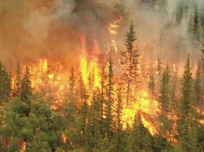 Jačanje kapaciteta zaštite od šumskih požara 