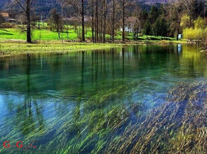 Što ti kane napraviti? - račun bez krčmara, ili ipak ne?