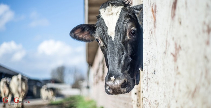 Započela isplata za dobrobit životinja vrijedna 250 milijuna kuna