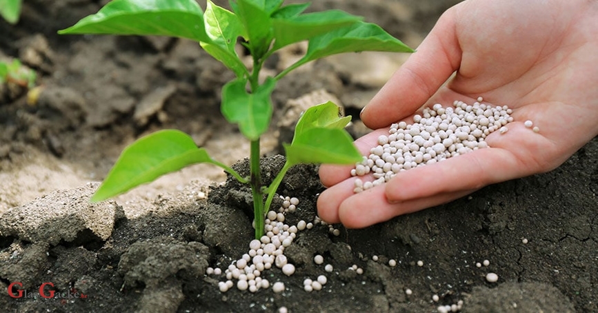 U e-savjetovanju Pravilnik o provedbi Programa potpore za nabavu mineralnog gnojiva