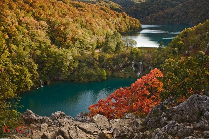 Traži se krajobrazni arhitekt, vrtlar i pravnik