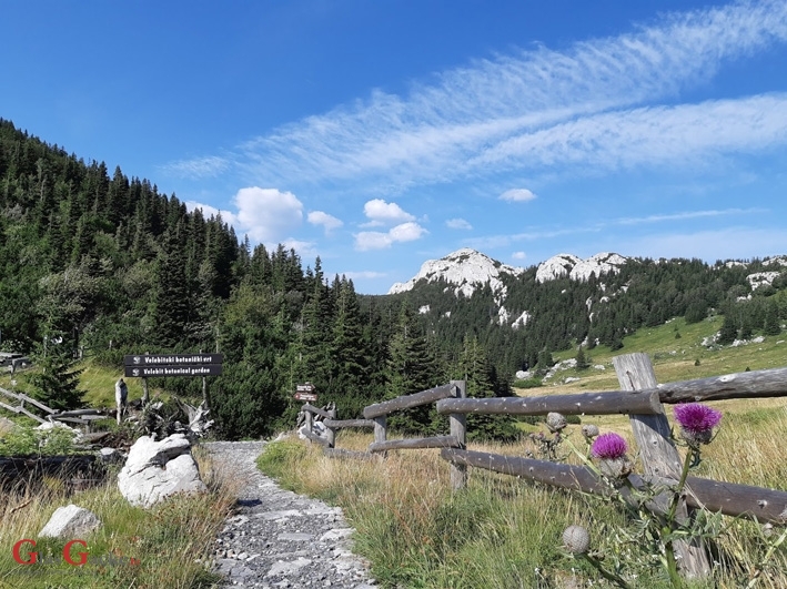 NP Sjeverni Velebit zapošljava botaničara NP Sjeverni Velebit zapošljava botaničara