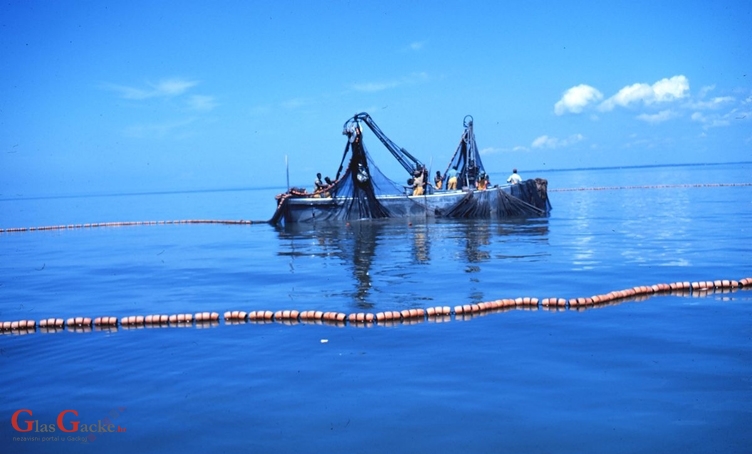 Od 1. svibnja obustava ribolova mrežama plivaricama 