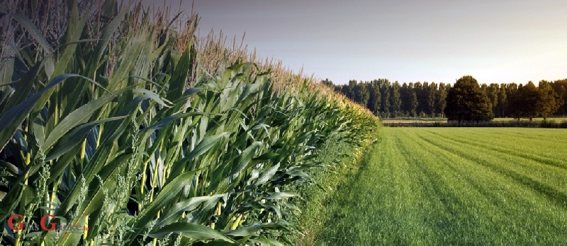 eSavjetnik – nova aplikacija sa svim informacijama važnima za hrvatske poljoprivrednike 