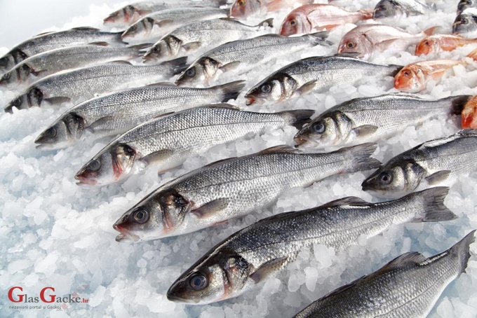 40 milijuna kuna za stavljanje na tržište proizvoda ribarstva i akvakulture