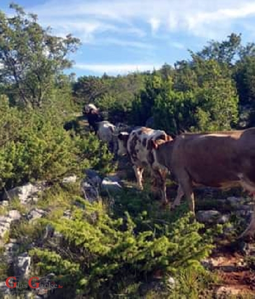 Bit će poticaja, bit će novčine!