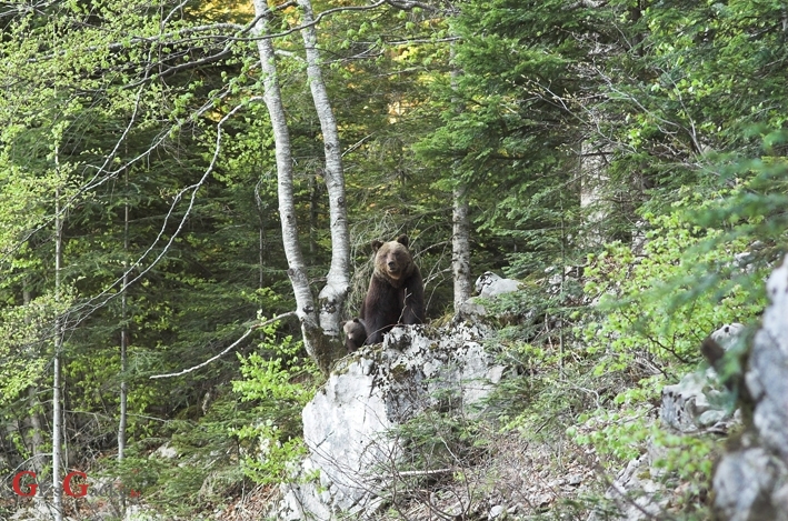 Nagradni kviz danas završava