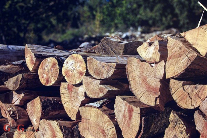 Potpore za ulaganja u šumarske tehnologije i preradu