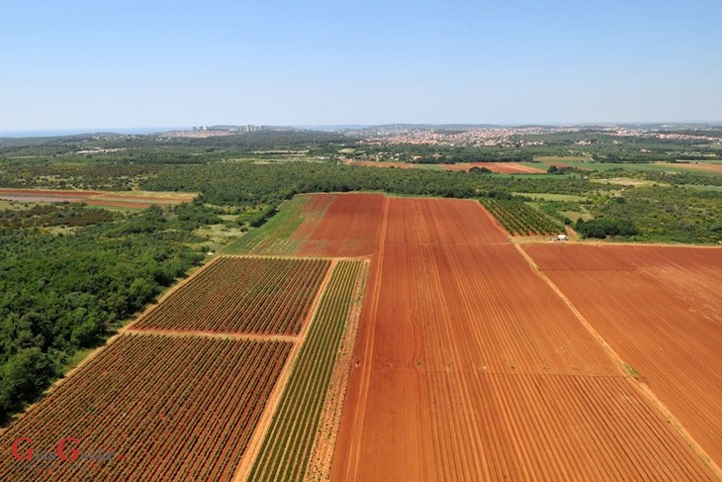 Objavljen Javni poziv za restrukturiranje poljoprivrednog zemljišta i komasaciju 2021. – 2026.