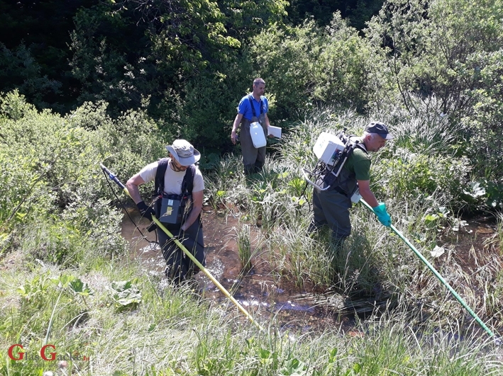 Izlov alohtonih vrsta riba na Plitvičkim jezerima 