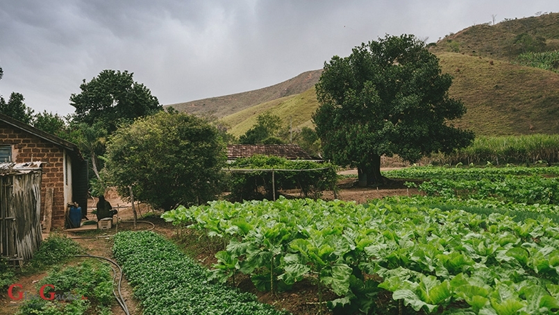 Novi natječaji za male i mlade poljoprivrednike iz programa ruralnog razvoja