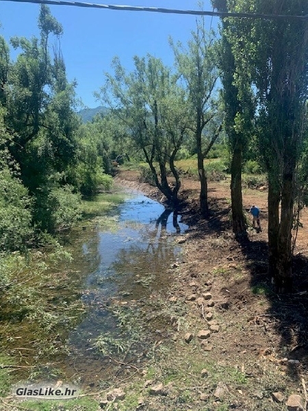Sječa i čišćenje Glamočnice