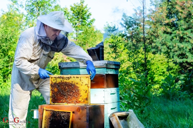 Predavanje za pčelare - Američka gnjiloća i ostale bolesti pčela 
