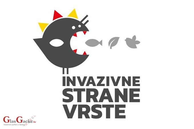 Jeste li vidjeli ove invazivne strane vrste? Jeste li vidjeli ove invazivne strane vrste?