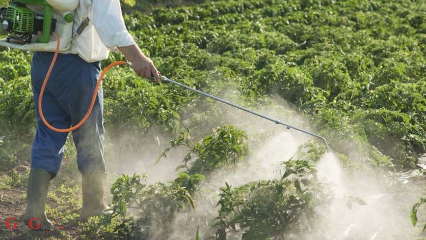 Hrvatski poljoprivrednici koriste manje pesticida od europskog prosjeka Hrvatski poljoprivrednici koriste manje pesticida od europskog prosjeka