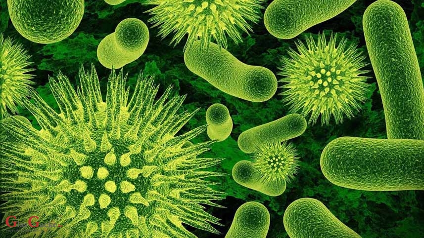 31 osoba oboljela, 24 izliječene 31 osoba oboljela, 24 izliječene