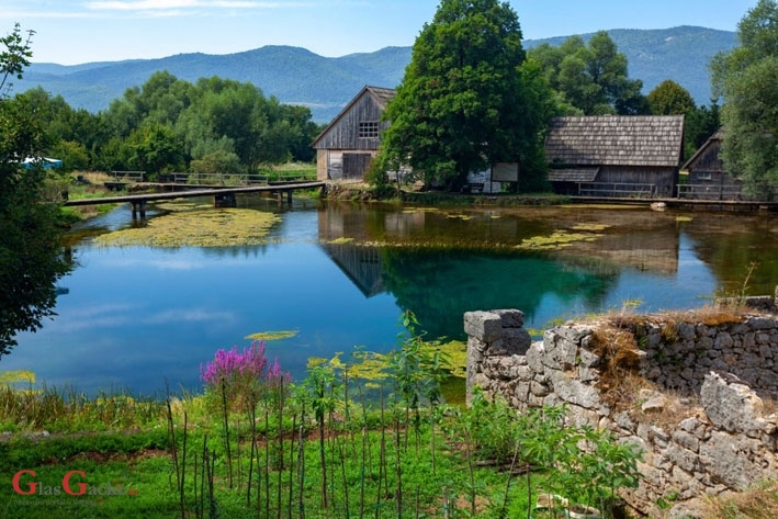 Uživo dok ga ima, a onda samo na fotografijama Uživo dok ga ima, a onda samo na fotografijama