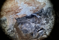 U petak otvaranje špilje za speleoterapiju U petak otvaranje špilje za speleoterapiju