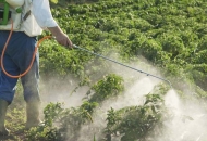 Hrvatski poljoprivrednici koriste manje pesticida od europskog prosjeka Hrvatski poljoprivrednici koriste manje pesticida od europskog prosjeka