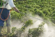 Hrvatski poljoprivrednici koriste manje pesticida od europskog prosjeka