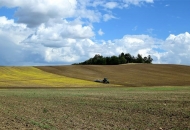U javnoj raspravi prijedlog potpore proizvođačima sjemenskog kukuruza zbog ratnih zbivanja u Ukrajini