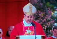 Iz homilije biskupa Šaška u Vukovaru na Dan sjećanja