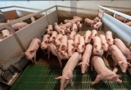 Objavljena tri nova natječaja iz Programa ruralnog razvoja Objavljena tri nova natječaja iz Programa ruralnog razvoja
