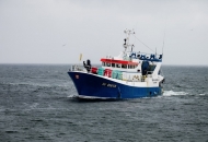 Sektoru ribarstva na raspolaganju 20 milijuna kuna
