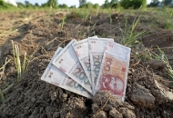 Isplata prve rate potpora kreće 16. veljače Isplata prve rate potpora kreće 16. veljače