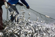 U e-savjetovanju program državne potpore ribarstvu 