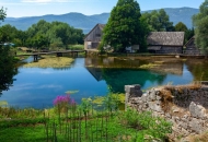 Uživo dok ga ima, a onda samo na fotografijama Uživo dok ga ima, a onda samo na fotografijama
