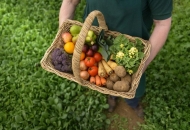 Druga procjena DZS-a: Poljoprivredna proizvodnja rasla više od osam posto