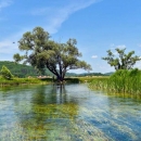Planirani ekocid na rijeci Gacki sve više pobuđuje zanimanje hrvatske javnosti