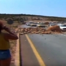 Da se ne zaboravi! - Not to be forgotten!