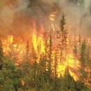 Jačanje kapaciteta zaštite od šumskih požara 