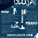 Program Oluja 2021.