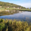 Presušuju gackina vrila, a oni bi vodu baš iz njih uzimali - o kako genijalno!