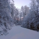 Zbog novog snijega ulaz u NP S. Velebit zatvoren
