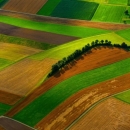 Vlada usvojila konačni prijedlog Zakona o izmjenama i dopunama Zakona o poljoprivrednom zemljištu
