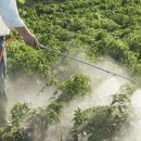 Hrvatski poljoprivrednici koriste manje pesticida od europskog prosjeka