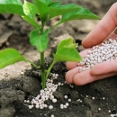 U e-savjetovanju Pravilnik o provedbi Programa potpore za nabavu mineralnog gnojiva