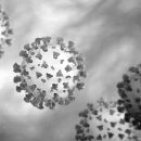 Jedan novooboljeli