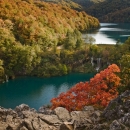 Traži se krajobrazni arhitekt, vrtlar i pravnik