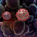 22 oboljelih, 20 izliječenih