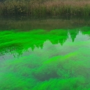 Na Plitvičkim jezerima ubacili boju