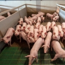 Objavljena tri nova natječaja iz Programa ruralnog razvoja 
